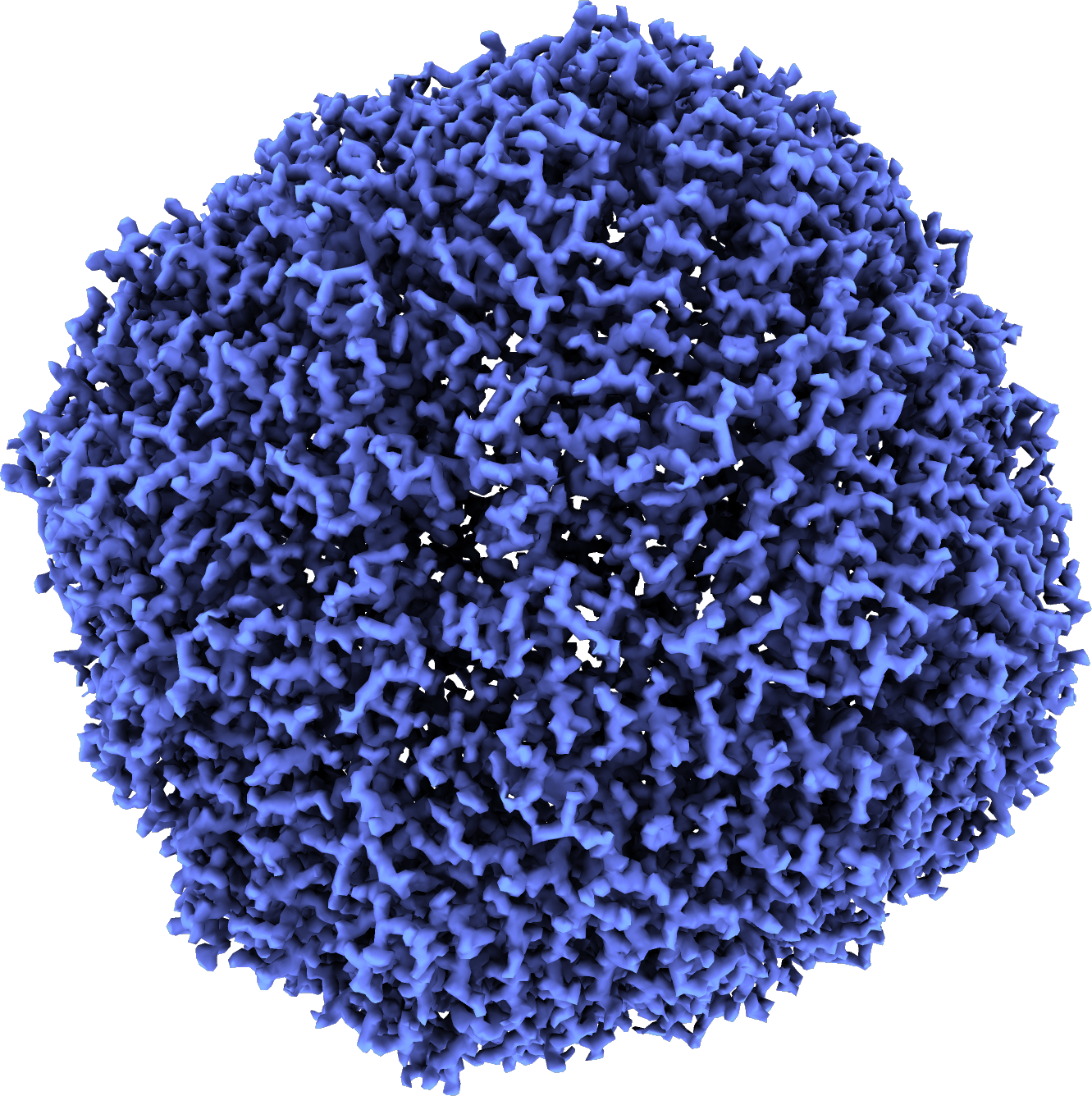 CrySPARC reconstruction